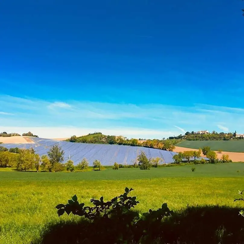Domaine D'En Naudet Bed & Breakfast Teyssode